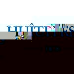 Huitres Charente Maritime | Violon sur le sable