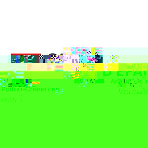 Caisse d'épargne Aquitaine Poitou-Charentes | Violon sur le sable